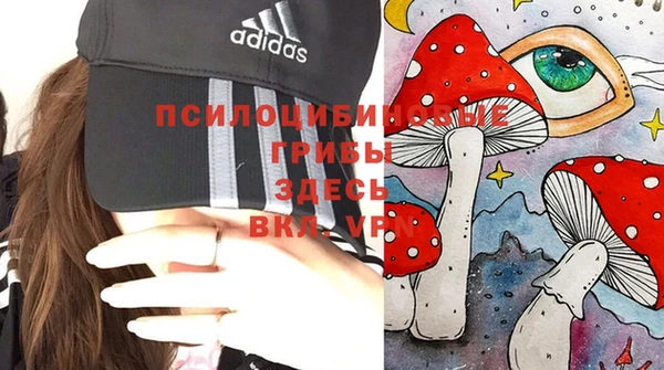 молекула духа Протвино