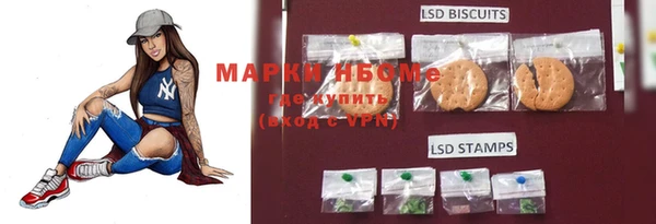 молекула духа Протвино