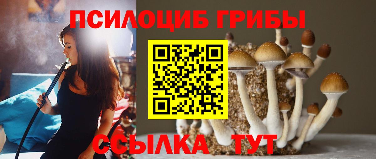 Галлюциногенные грибы MAGIC MUSHROOMS Анжеро-Судженск