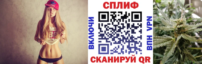 мориарти официальный сайт  цена   Анжеро-Судженск  Шишки марихуана Ganja 